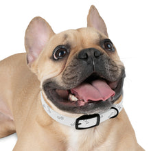 Load image into Gallery viewer, Bones Dog Collar