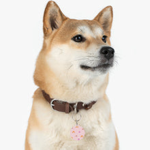 Load image into Gallery viewer, Rainbows Cat Tag