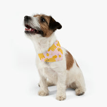 Load image into Gallery viewer, Knit Kitty Bandana Collar