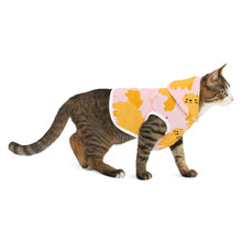 Load image into Gallery viewer, Kitty Cat Hoodie