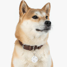Load image into Gallery viewer, Bones Dog Tag