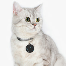 Load image into Gallery viewer, Paw Prints Tag
