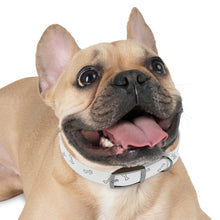 Load image into Gallery viewer, Bones Dog Collar