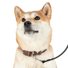 Load image into Gallery viewer, Fish Cat Leash