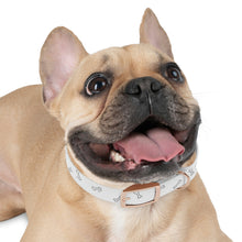Load image into Gallery viewer, Bones Dog Collar