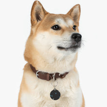 Load image into Gallery viewer, Paw Prints Tag